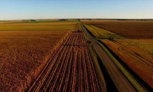 Farm with cornfields stretching to the horizon